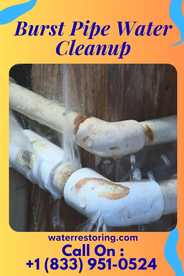 Burst Pipe Water Cleanup in Harlan, KY