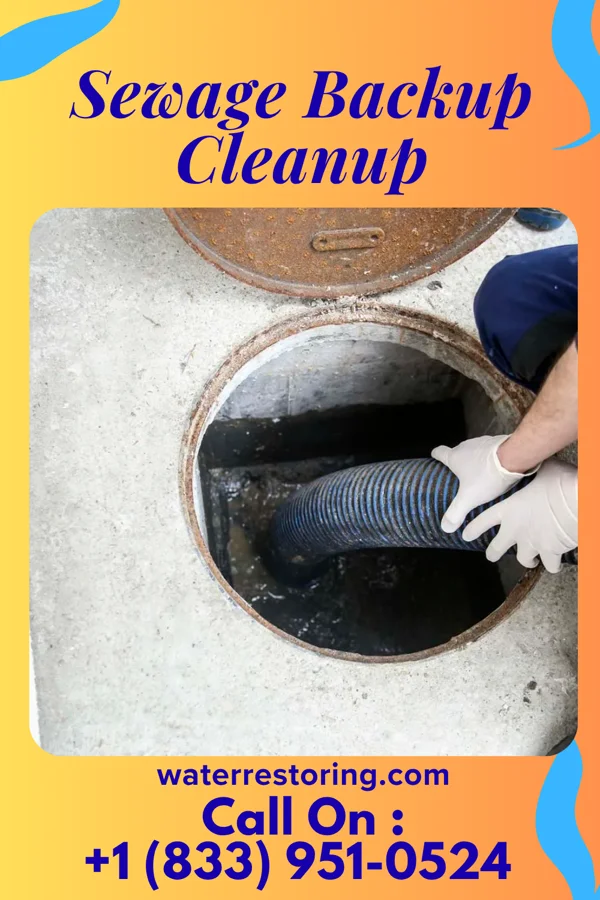 Sewage Backup Cleanup in Harlan, KY