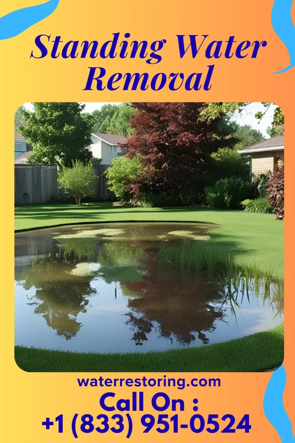 Standing Water Removal in Harlan, KY